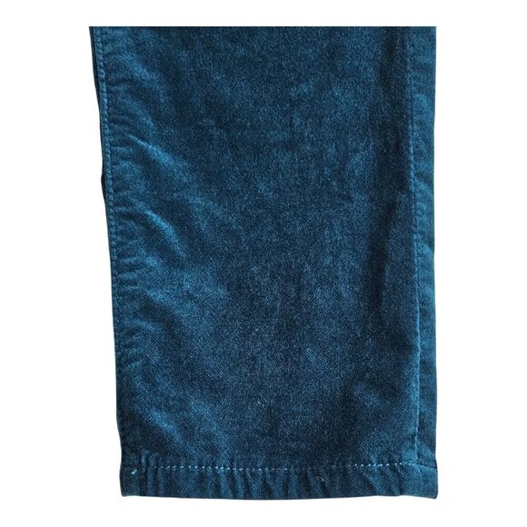 ANTHROPOLOGIE Adriano Goldschmied 25 R Velvet Stevie Pants Straight Slim Ankle - Picture 8 of 13